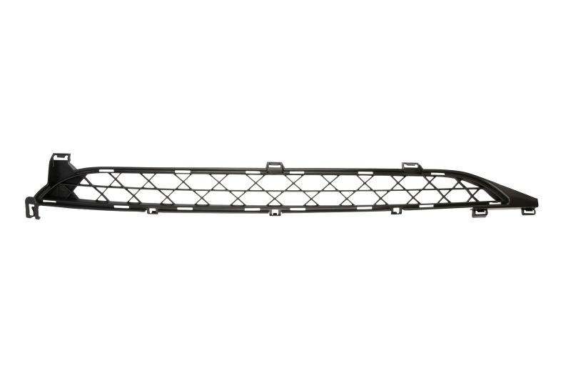 BLIC Bumper grill Article number: 6502-07-0538910Q cheaply
