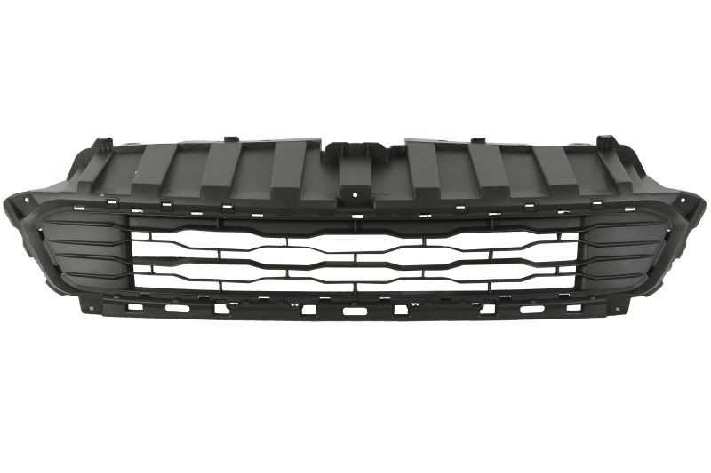 BLIC Radiator Grille Article number: 6502-07-2053993P cheaply