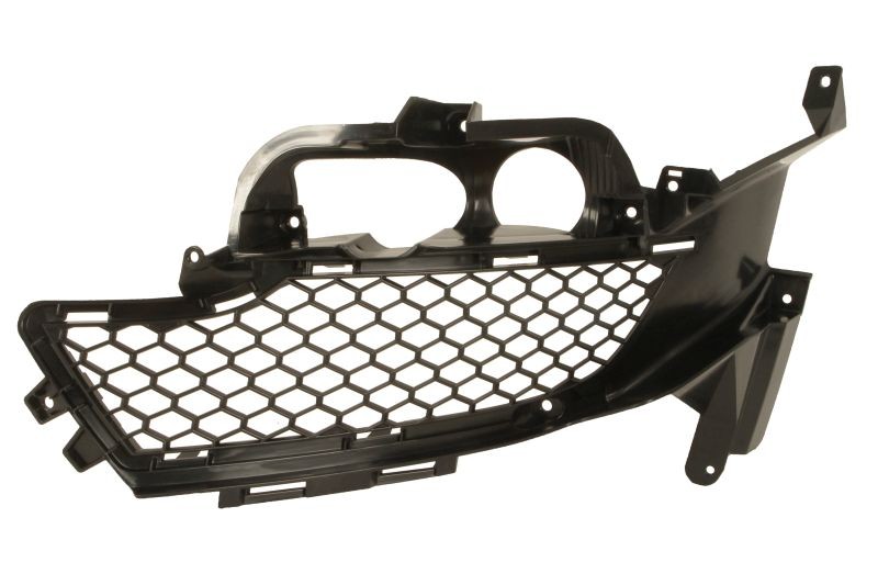 BLIC Grille Article number: 6502-07-2586917P cheaply