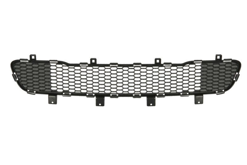 BLIC Bumper grill Article number: 6502-07-3217910P cheaply
