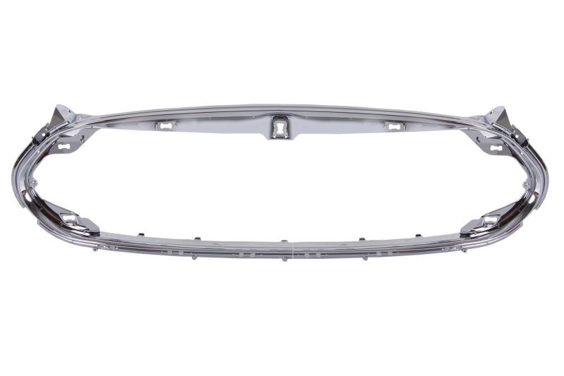 BLIC Frame, radiator grille Article number: 6502-07-7707991P cheaply