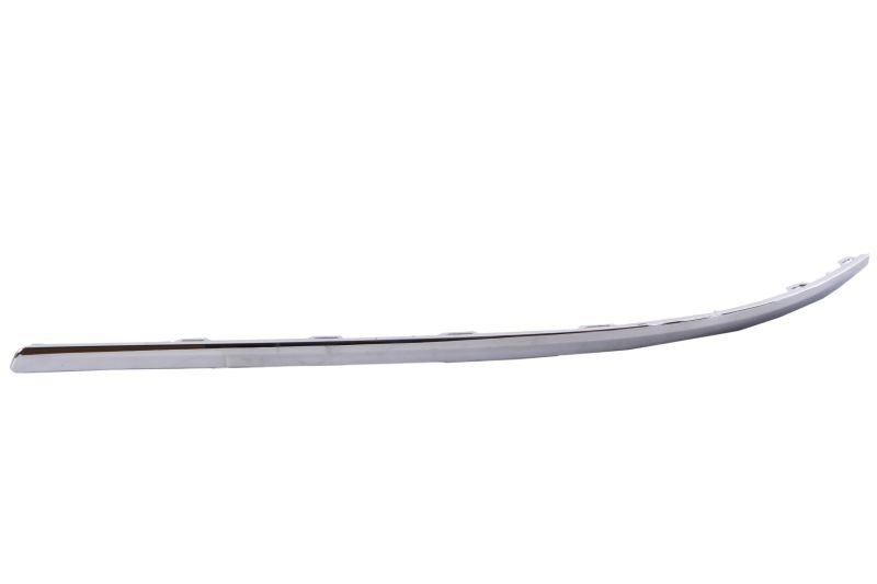 BLIC Bumper moulding Article number: 6502-07-9540975P cheaply