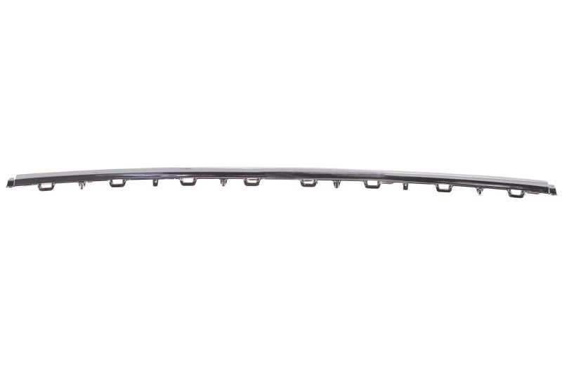 BLIC 6502-07-9589920P Bumper moulding PASSAT 1.4 TSI 4motion 150 PS Petrol