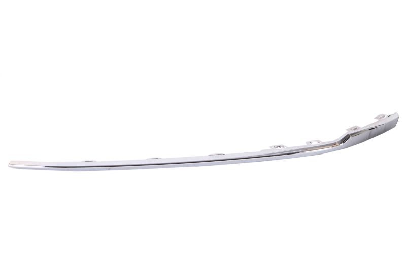 BLIC 6502-07-9589923P Bumper moulding PASSAT 1.4 TSI 4motion 150 PS Petrol