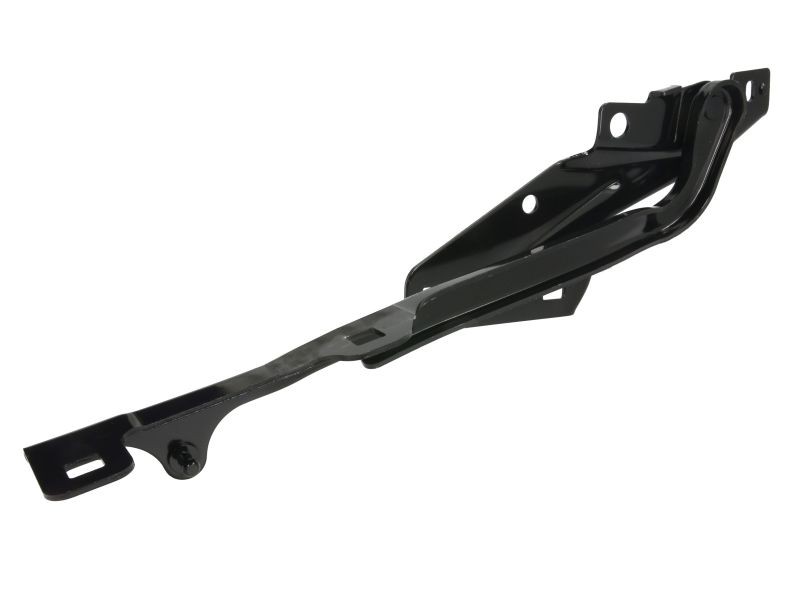 BLIC Hinge, bonnet Article number: 6802-00-3255456P cheaply