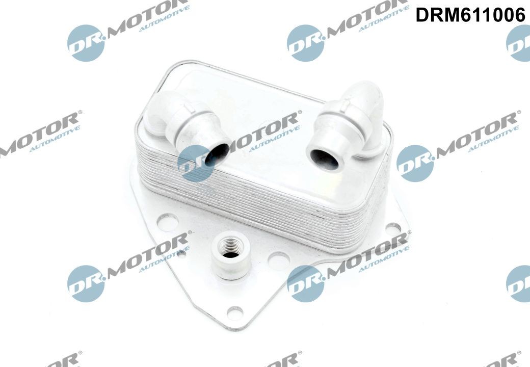 DR.MOTOR AUTOMOTIVE Engine oil cooler Article number: DRM611006 cheaply