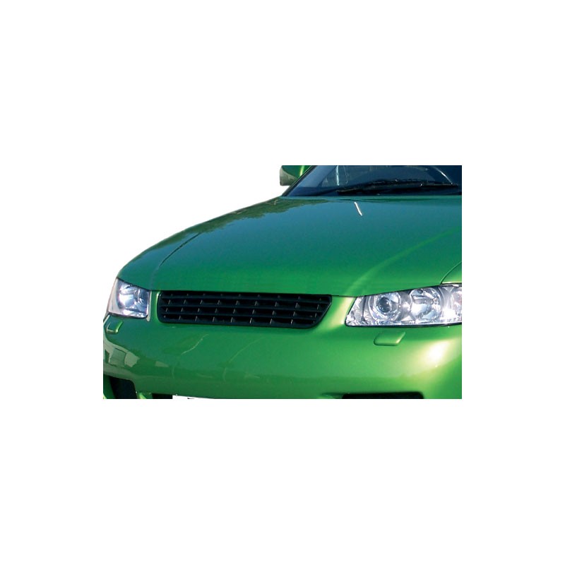 RDX Racedesign Spoiler, radiator grille Article number: RDHV001 cheaply