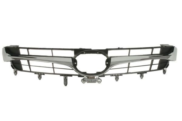 BLIC Radiator Grille Article number: 6502-07-8145991P cheaply