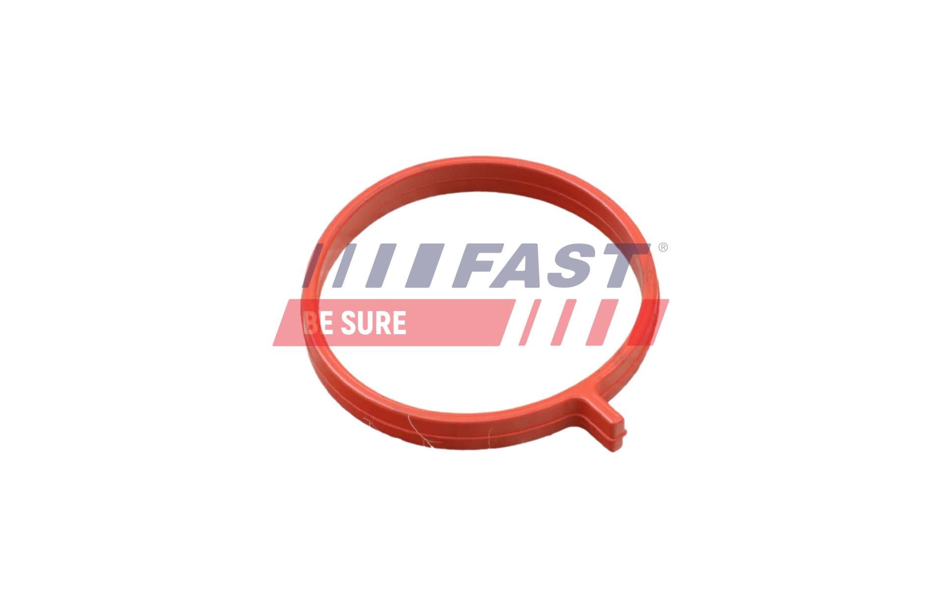FAST Seal, turbo air hose Article number: FT48962 cheaply