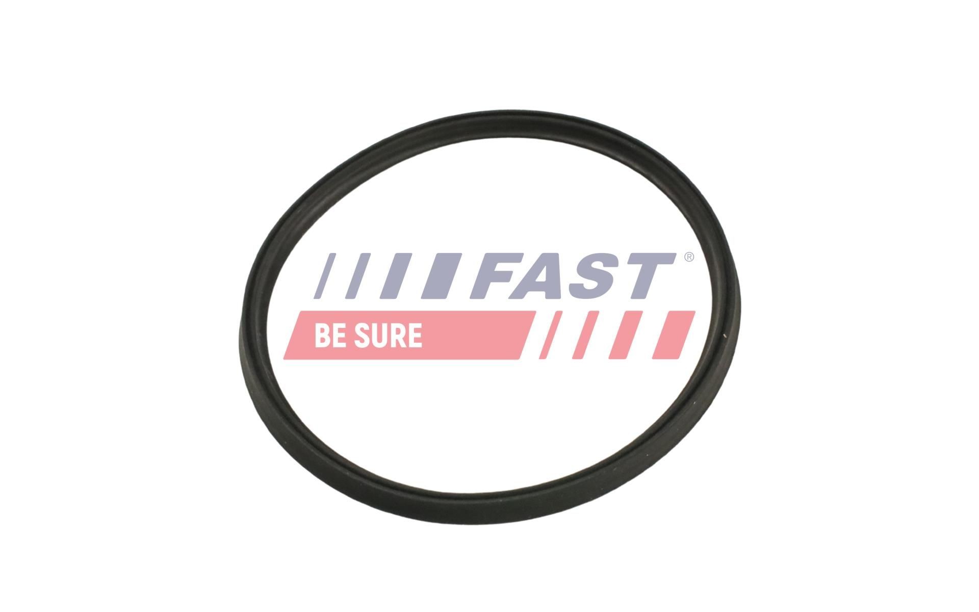 FAST Seal, turbo air hose Article number: FT48965 cheaply