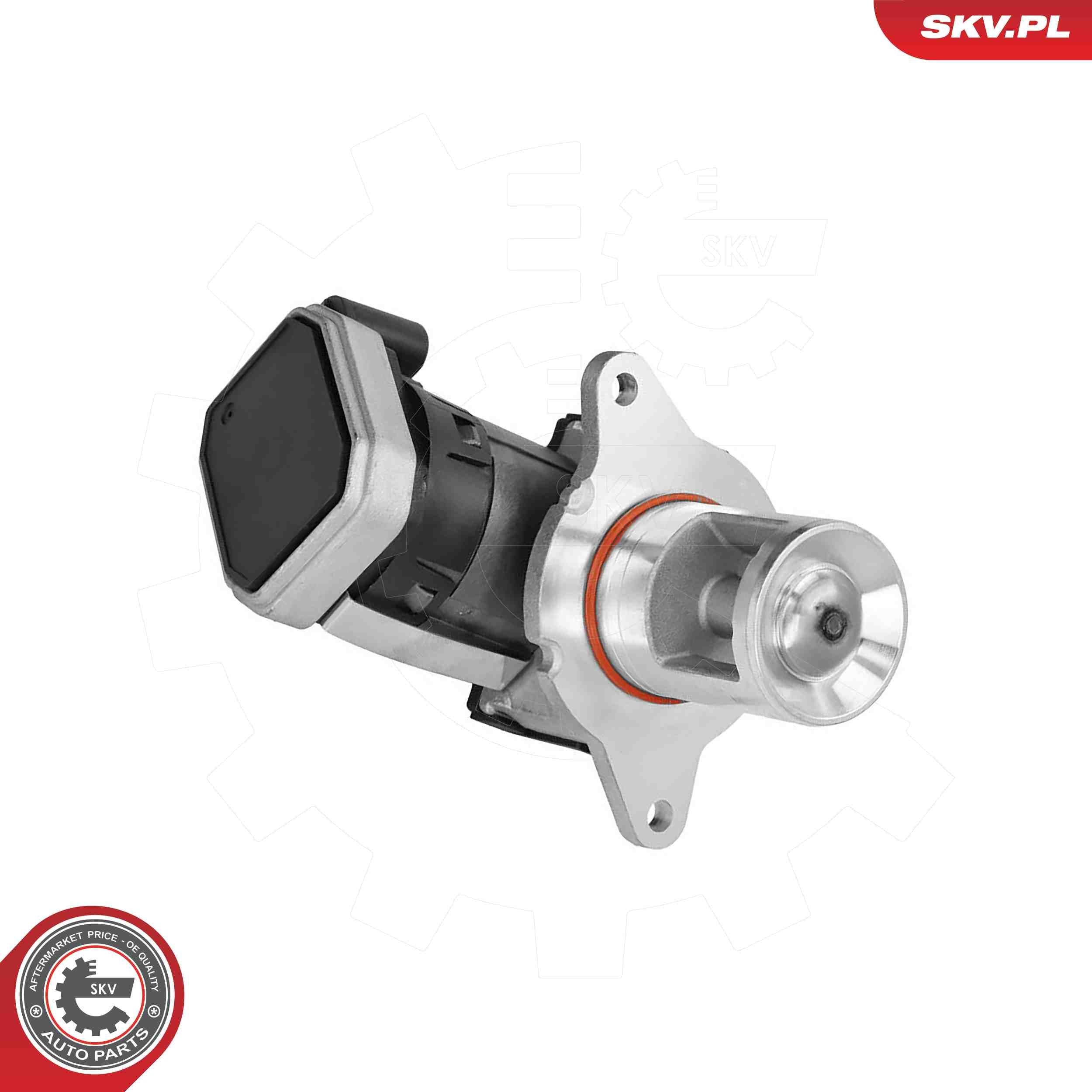 ESEN SKV EGR valve Article number: 14SKV307 cheaply