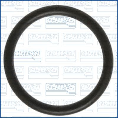 AJUSA Gasket, water pump Article number: 16078200 cheaply