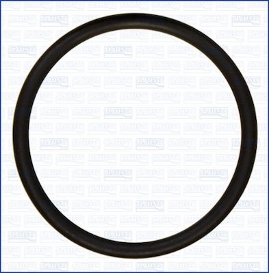AJUSA Gasket, thermostat Article number: 16087600 cheaply