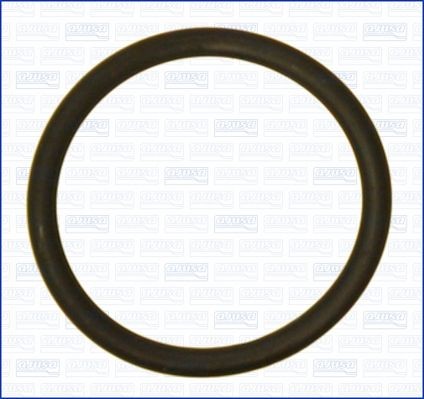 AJUSA Seal, vacuum hose connector pipe Article number: 16100000 cheaply