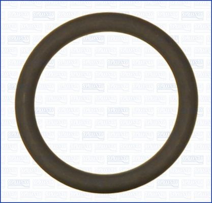 AJUSA Seal Ring, air filter housing intake hose Article number: 16104600 cheaply
