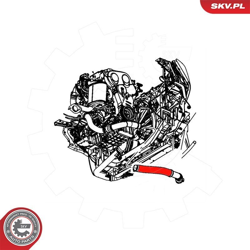 ESEN SKV Tailgate strut Article number: 52SKV836 cheaply