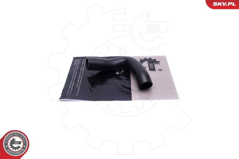 ESEN SKV Tailgate strut Article number: 52SKV841 cheaply