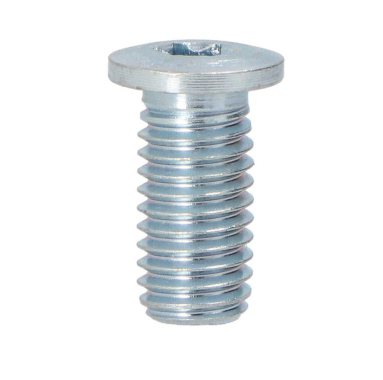 LTD Bolt, brake disc Article number: LTD-7703009271 cheaply