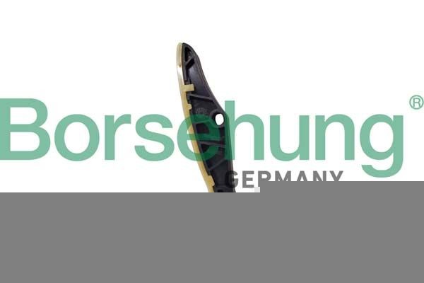 Borsehung B12833 Guides, timing chain Q5 SQ5 3.0 TDI quattro 326 PS Diesel 2019