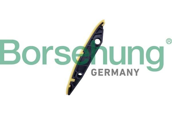 Borsehung B12834 Guides, timing chain Q5 SQ5 3.0 TDI quattro 326 PS Diesel 2019