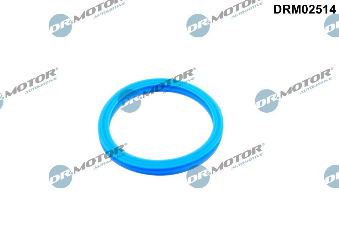 DR.MOTOR AUTOMOTIVE Seal, coolant tube Article number: DRM02514 cheaply