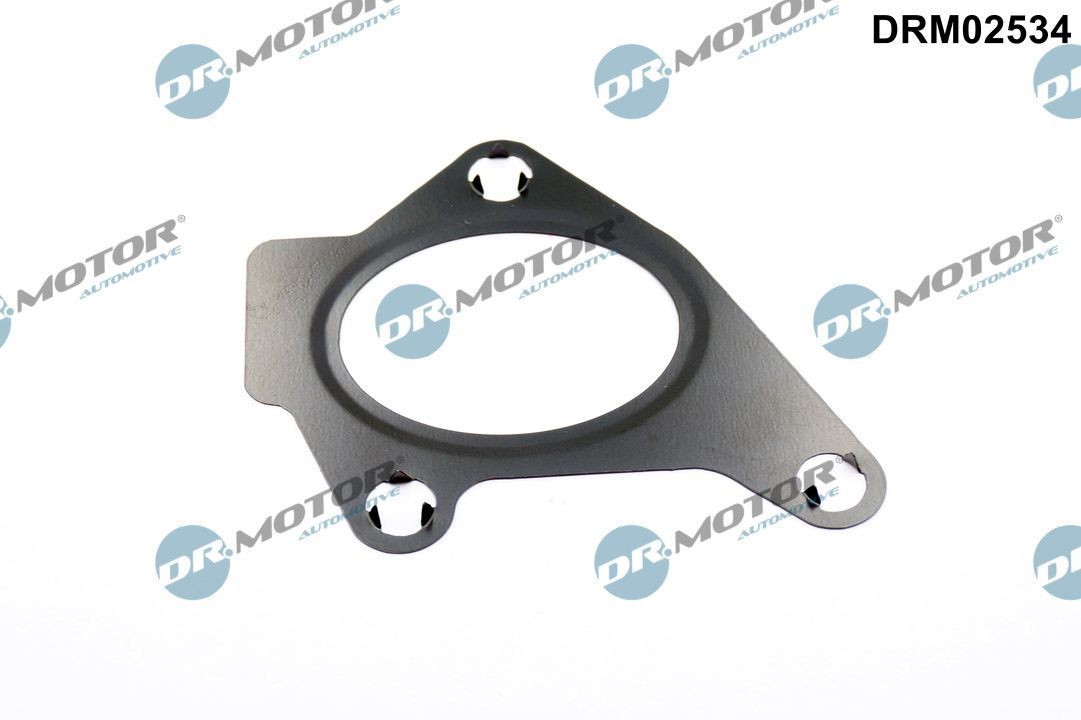 DR.MOTOR AUTOMOTIVE Inlet manifold gasket Article number: DRM02534 cheaply