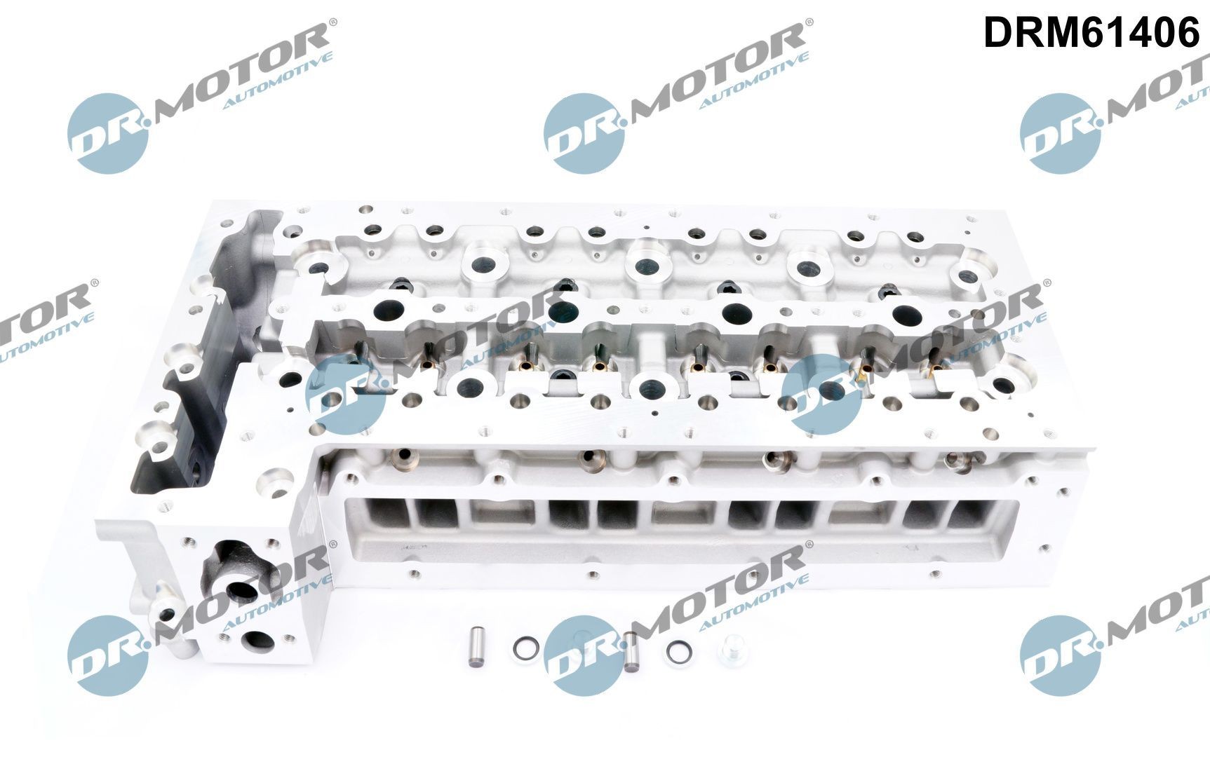 DR.MOTOR AUTOMOTIVE Cylinder Head Article number: DRM61406 cheaply
