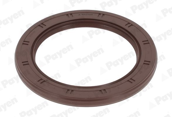 PAYEN Crankshaft seal Article number: NA5509 cheaply
