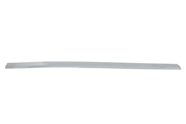 BLIC 5703-05-9579925P Bumper moulding TRANSPORTER 2.0 TDI 4motion 199 PS Diesel 2024