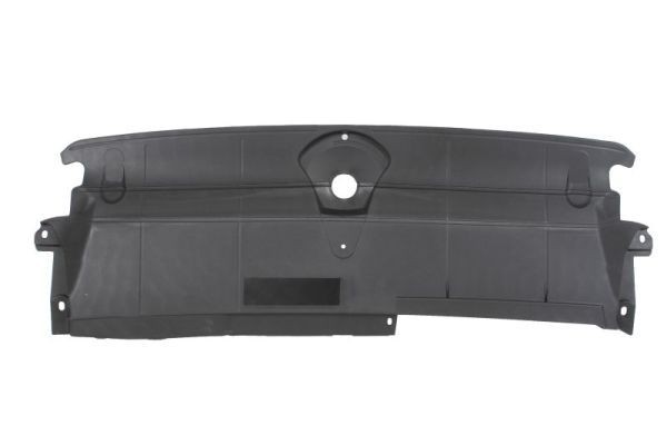 BLIC 6502-03-0043203P Bumper moulding A6 RS6 performance 4.0 quattro 605 PS Petrol 2018
