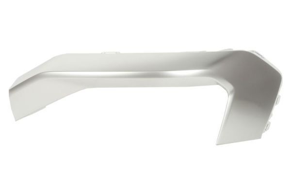 BLIC Bumper moulding Article number: 6502-07-0048977P cheaply