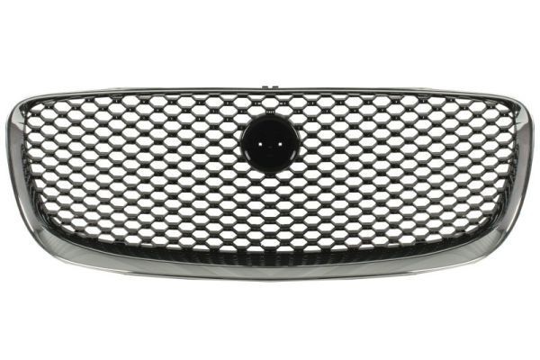 BLIC Radiator Grille Article number: 6502-07-0599990P cheaply