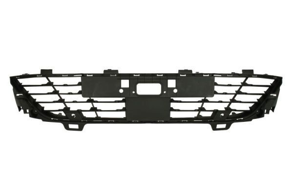 BLIC Bumper grill Article number: 6502-07-6001915Q cheaply