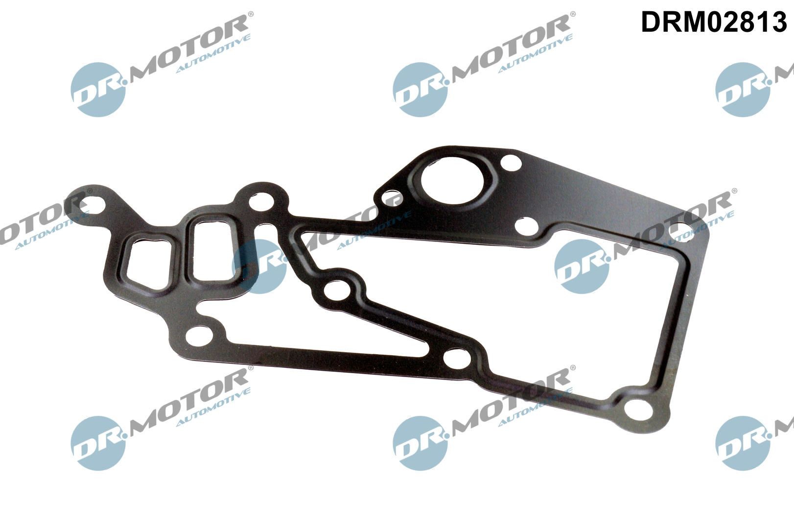 DR.MOTOR AUTOMOTIVE Thermostat housing gasket Article number: DRM02813 cheaply