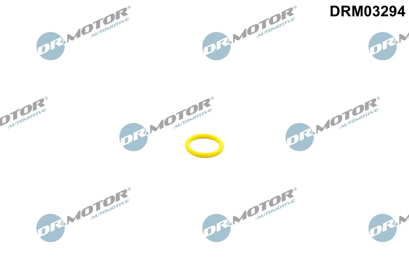 DR.MOTOR AUTOMOTIVE Locking Ring, fuel pump Article number: DRM03294 cheaply