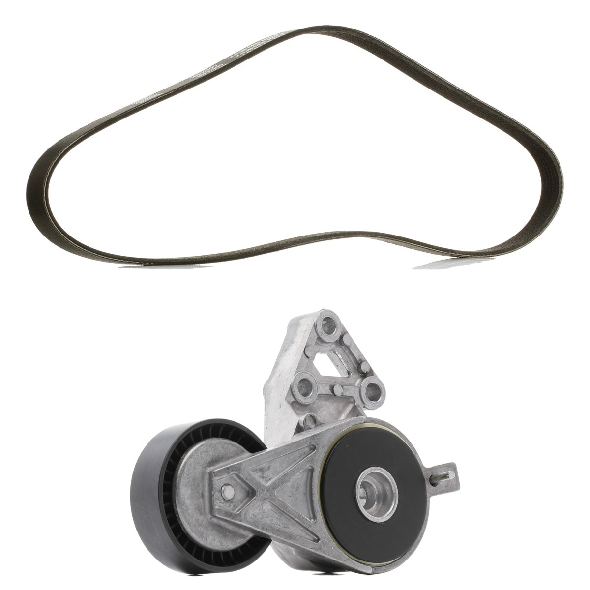 RIDEX PLUS V-Ribbed Belt Set Article number: 542R0664P cheaply