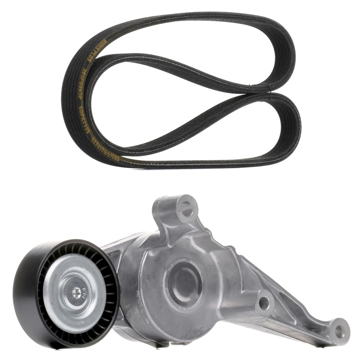 RIDEX PLUS V-Ribbed Belt Set Article number: 542R0987P cheaply