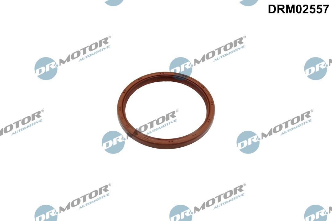 DR.MOTOR AUTOMOTIVE Crankshaft seal Article number: DRM02557 cheaply