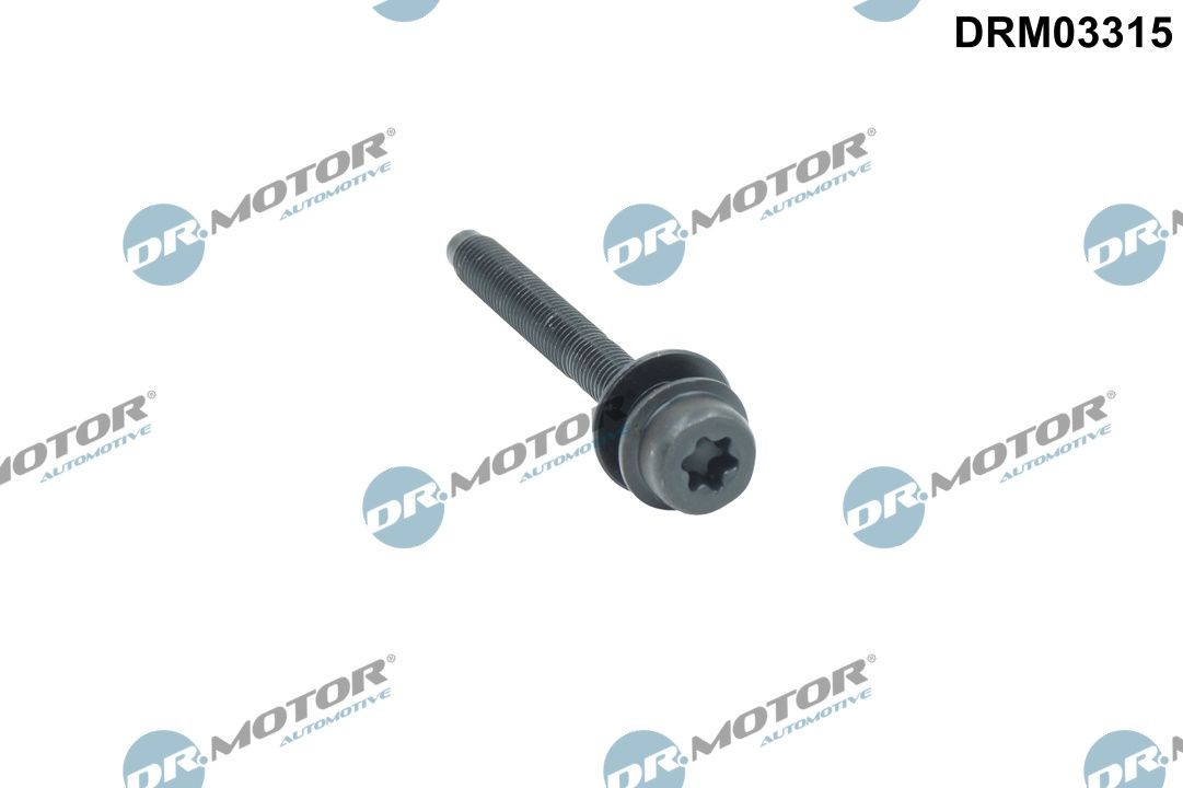 DR.MOTOR AUTOMOTIVE DRM03315 Screw, injection nozzle holder S60 2.0 D4 181 PS Diesel 2019