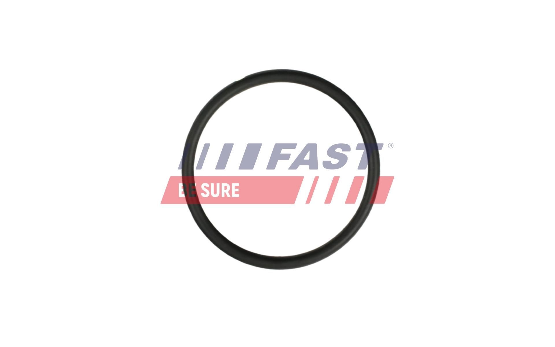 FAST Seal, coolant tube Article number: FT49931 cheaply