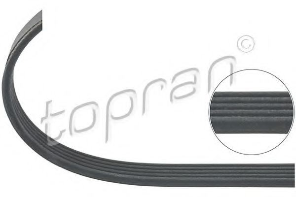 TOPRAN Serpentine belt Article number: 700 341 cheaply