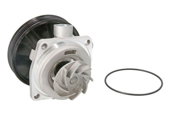 THERMOTEC Water pump Article number: D1F055TT cheaply