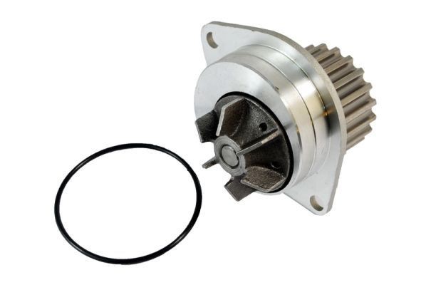 THERMOTEC Water pump Article number: D1P019TT cheaply