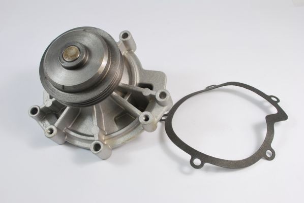 THERMOTEC Water pump Article number: D1P023TT cheaply