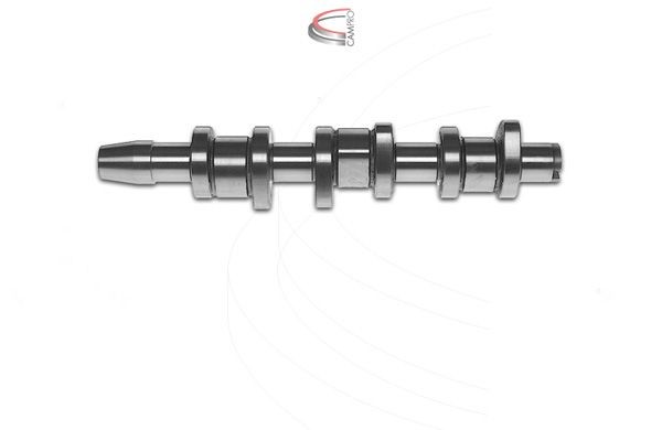 CAMPRO Camshaft Article number: CP10216 cheaply