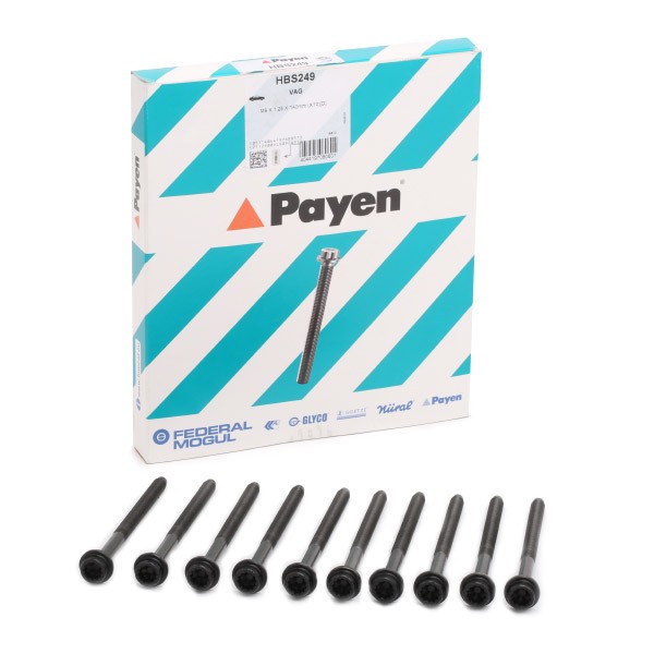 PAYEN Bolt Kit, cylinder head Article number: HBS249 cheaply