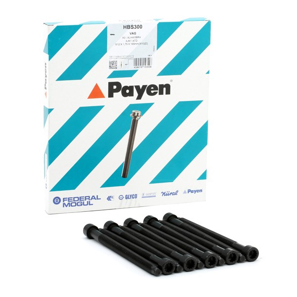 PAYEN Bolt Kit, cylinder head Article number: HBS300 cheaply