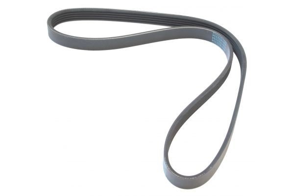 MAPCO Serpentine belt Article number: 250975 cheaply