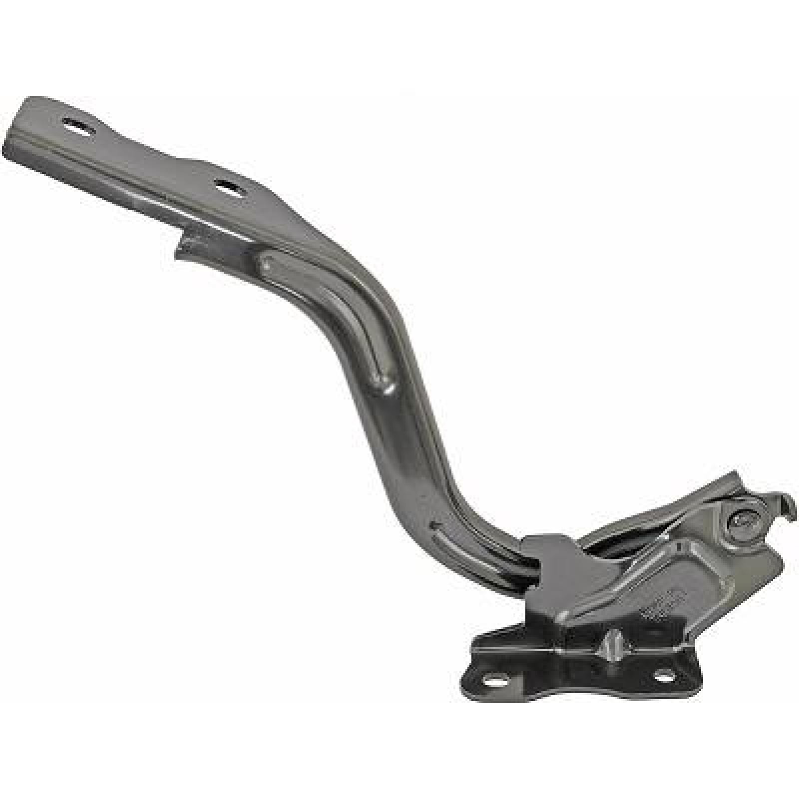 DIEDERICHS Hinge, bonnet Article number: 6414019 cheaply