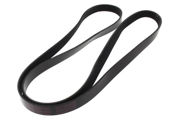 MAPCO Serpentine belt Article number: 261893 cheaply